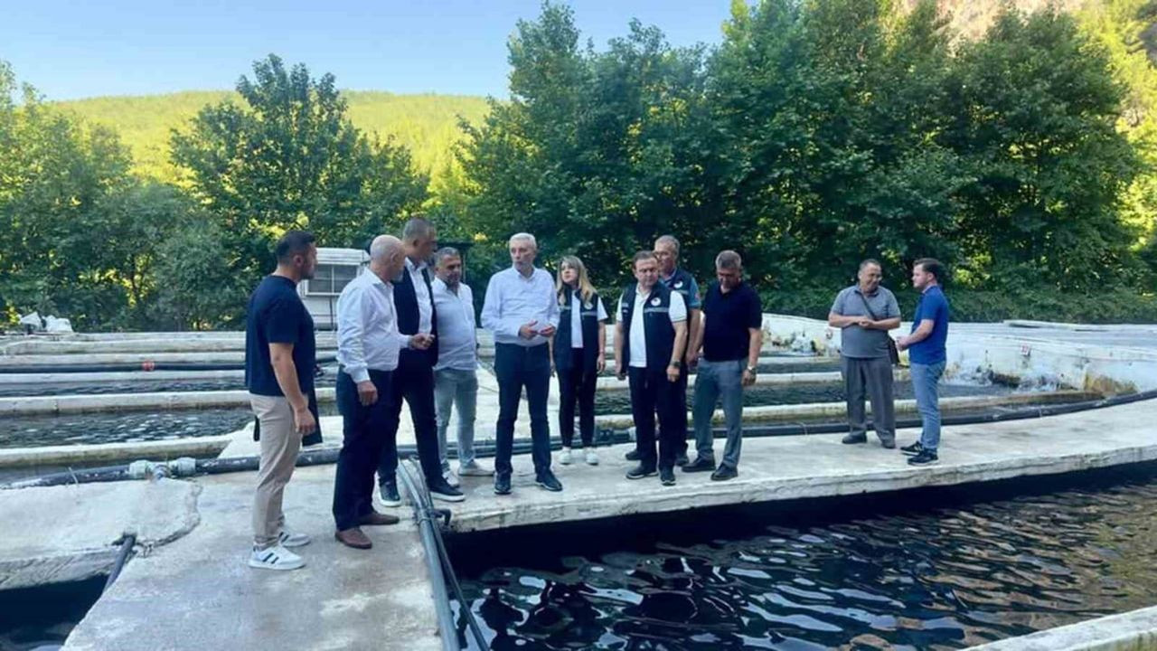 Eşen havzasındaki alabalık tesislerinde sektör değerlendirmesi