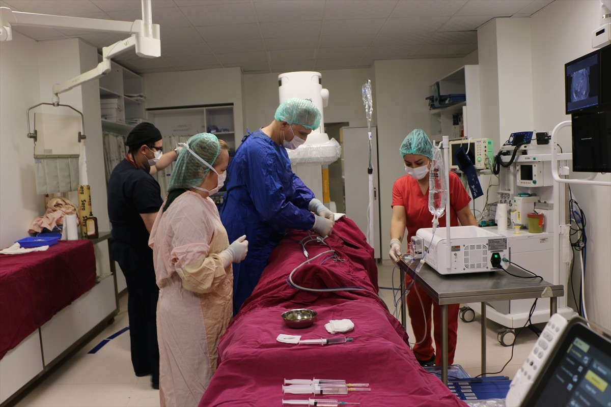 Eskişehir Osmangazi Üniversitesi (ESOGÜ) Sağlık, Uygulama ve Araştırma Hastanesi Girişimsel...