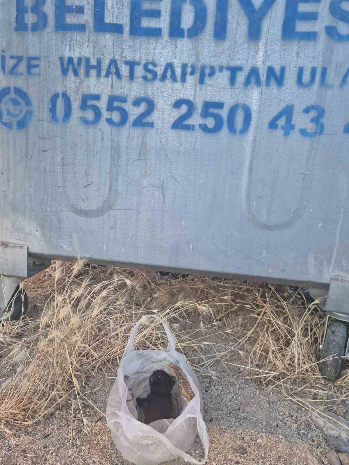 ESKİŞEHİR'DE AĞZI BANTLANARAK BİR POŞETİN İÇİNDE ÇÖPE ATILAN YAVRU KEDİ, TESADÜFEN ORADAN GEÇEN...