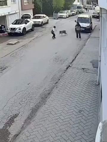 ESKİŞEHİR'DE BİR ANDA KOŞUP HAVLAYAN KÖPEĞİN KORKUTTUĞU KÜÇÜK ÇOCUĞUN PANİKLE ABLASININ YANINA...