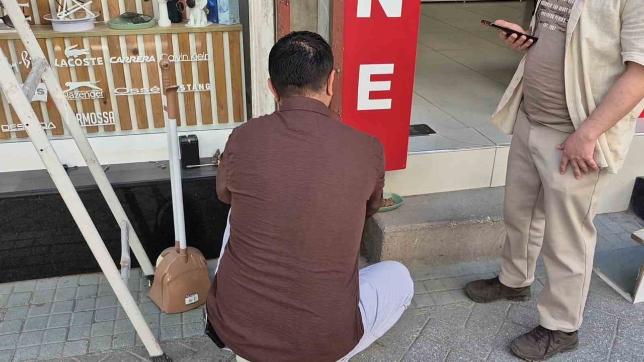 ESKİŞEHİR'DE BİR ECZANENİN REKLAM TABELASINA SIKIŞAN YAVRU KEDİ, ÇEVREDEKİ ESNAFIN YOĞUN ÇABASI VE...