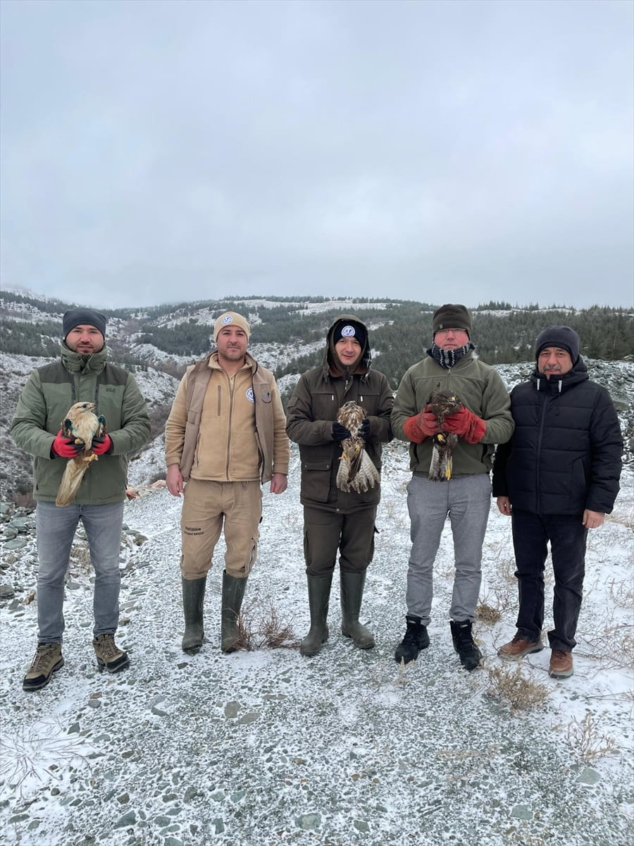 Eskişehir'de yaralı bulunan 3 şahin ve 1 kara akbaba, tedavilerinin ardından doğaya...