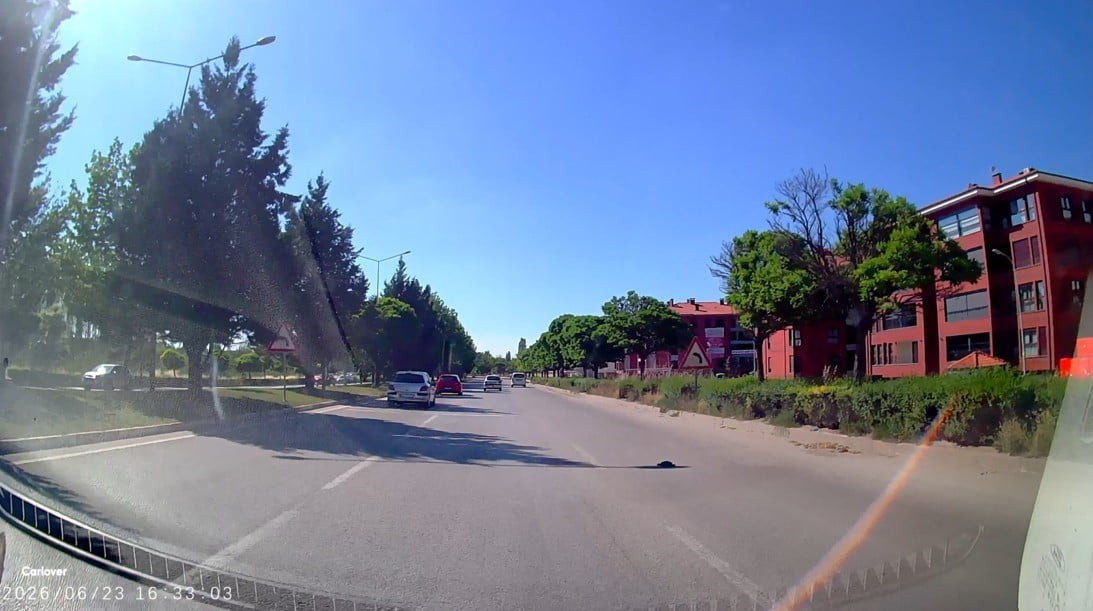 ESKİŞEHİR'İN İŞLEK BİR CADDESİNDE KARŞIDAN KARŞIYA GEÇMEYE ÇALIŞAN VE KENDİSİNDEN YÜKSEK OLAN...