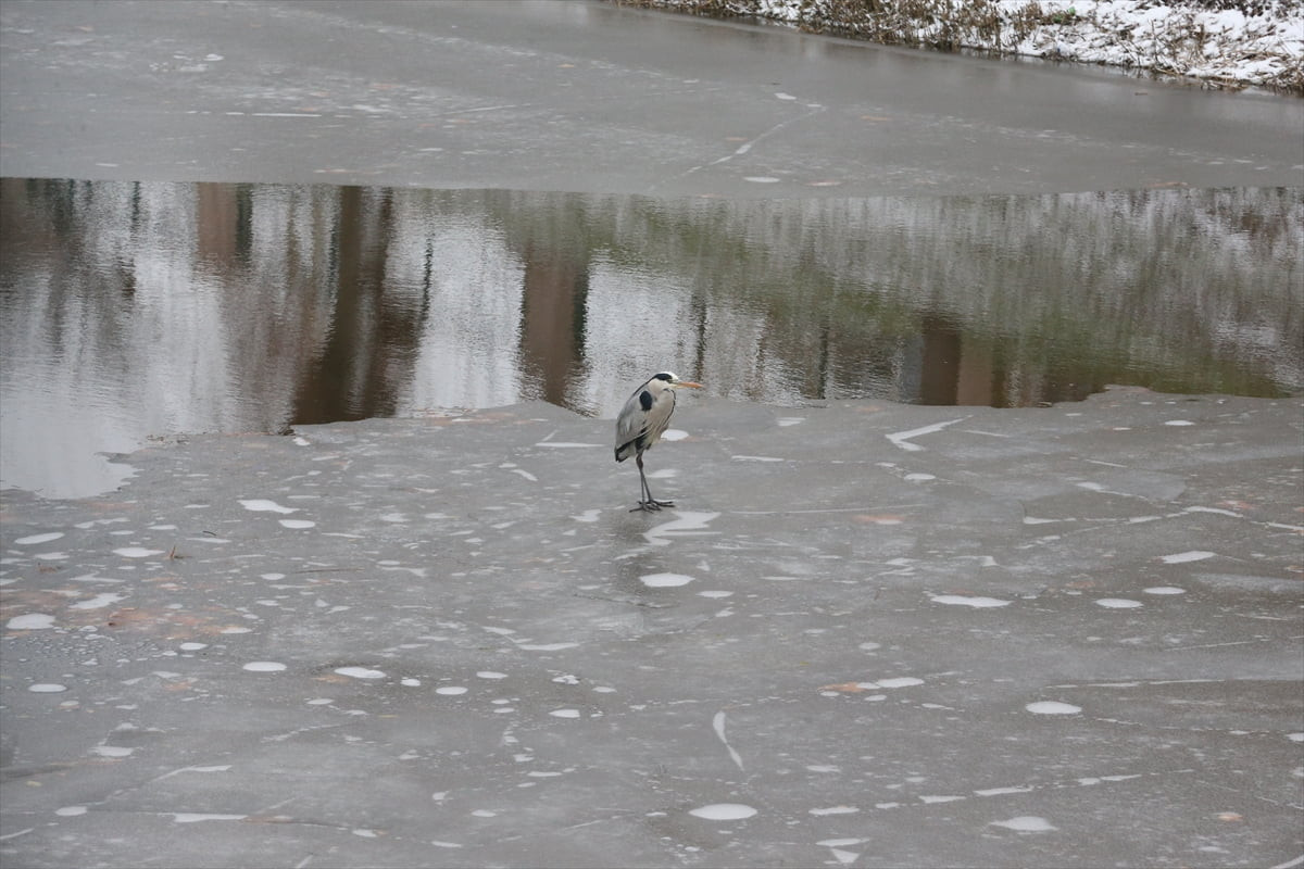 Eskişehir'in yüksek kesimlerinde kar yağışı etkili oldu. Soğuk hava nedeniyle yüzeyi buz tutan...
