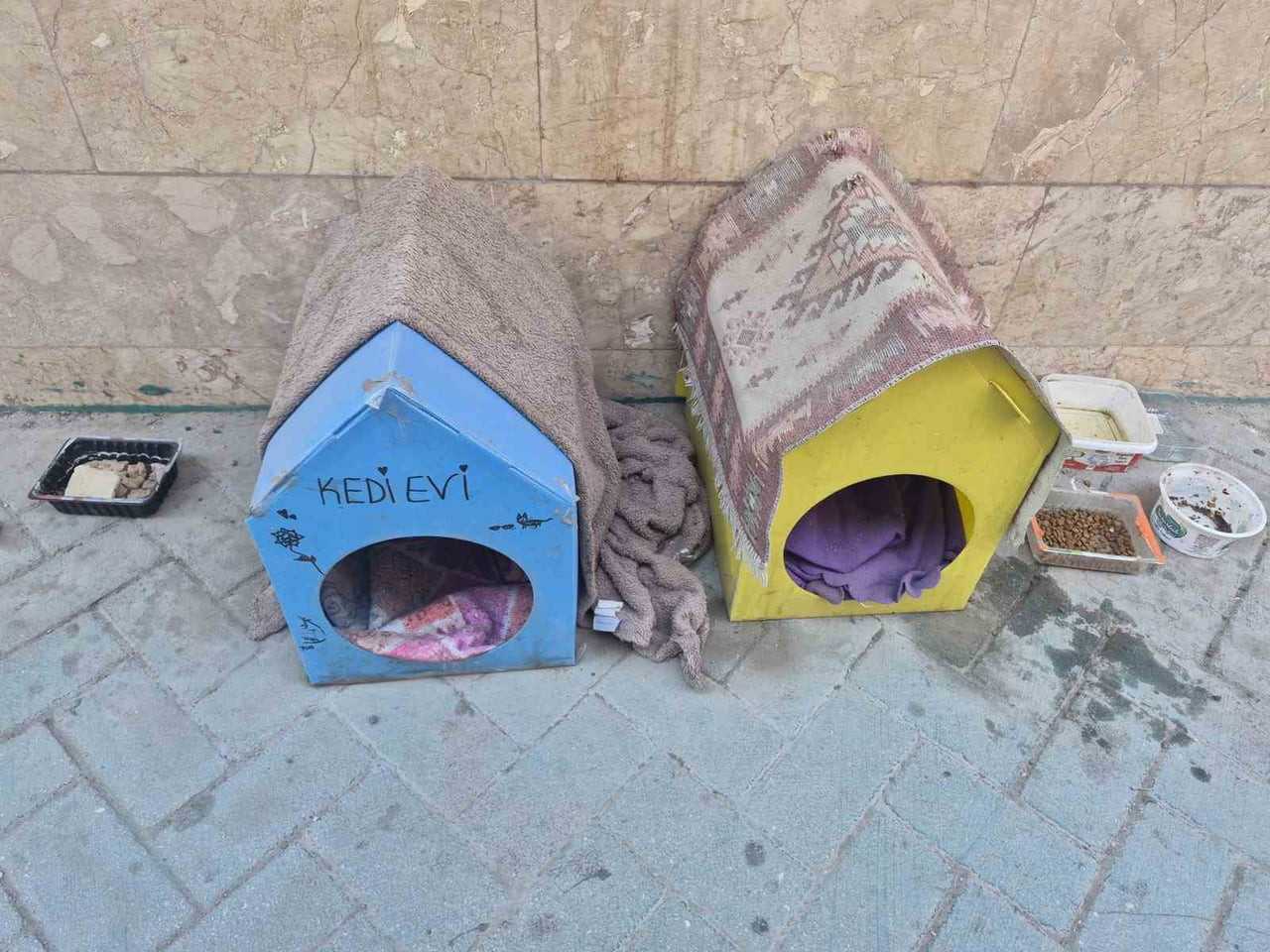 ESKİŞEHİR’DE BİR VATANDAŞ, SOKAK KEDİLERİNİ KORUMAK AMACIYLA KARTONDAN YAPTIĞI EVLERİN ÜZERİNE...