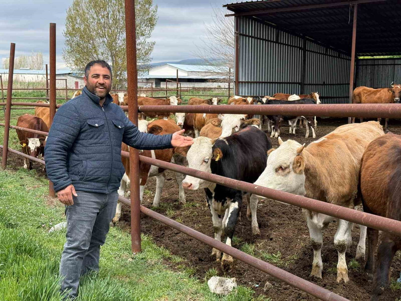 ESKİŞEHİR’DE KURBAN BAYRAMI’NA AZ BİR SÜRE KALA  BÜYÜKBAŞ KURBANLIKLARIN TAMAMI NEREDEYSE...