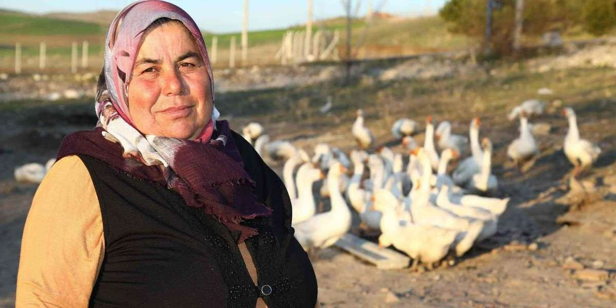 Ev Hanımlarına Destek Paketi