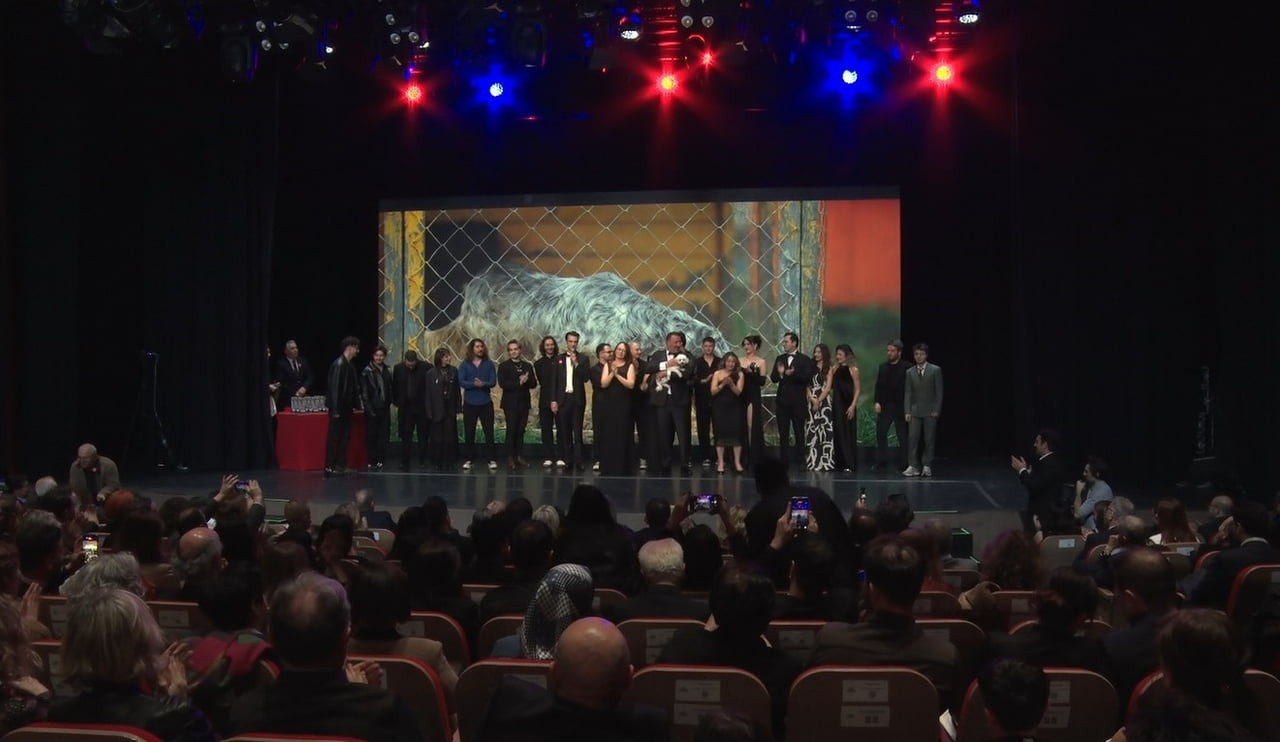 FARKINDAYIM PROJESİ KAPSAMINDA "BİR PATİNİN NESİ VAR?" İSİMLİ PROJEDE 32 SANATÇI, TEK BİR ŞARKIDA...