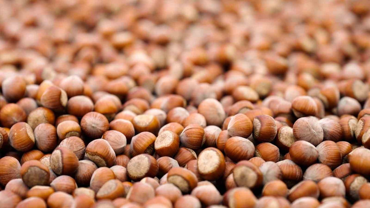 FERRERO, 17. SÜRDÜRÜLEBİLİRLİK RAPORU’NU YAYIMLADIĞINI DUYURDU.