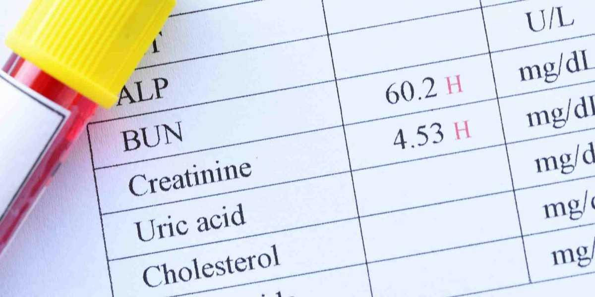 Ferritinin Nedir