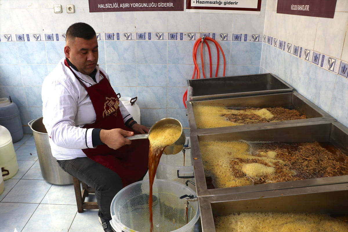 Fırat Nehri kenarında yetişen meyan bitkisinin kökünden elde edilen meyan şerbeti, iftar...