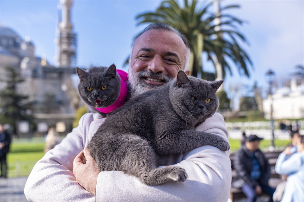 Fitness eğitmeni Hakan Emrah'ın omzunda İstanbul'u gezmesi nedeniyle "seyyah kedi" olarak ünlenen...