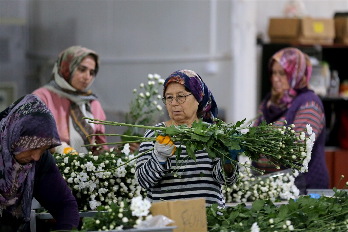 Florasında 3 bin 500'den fazla endemik bitki türünü barındıran Türkiye, özellikle kesme çiçek, iç...