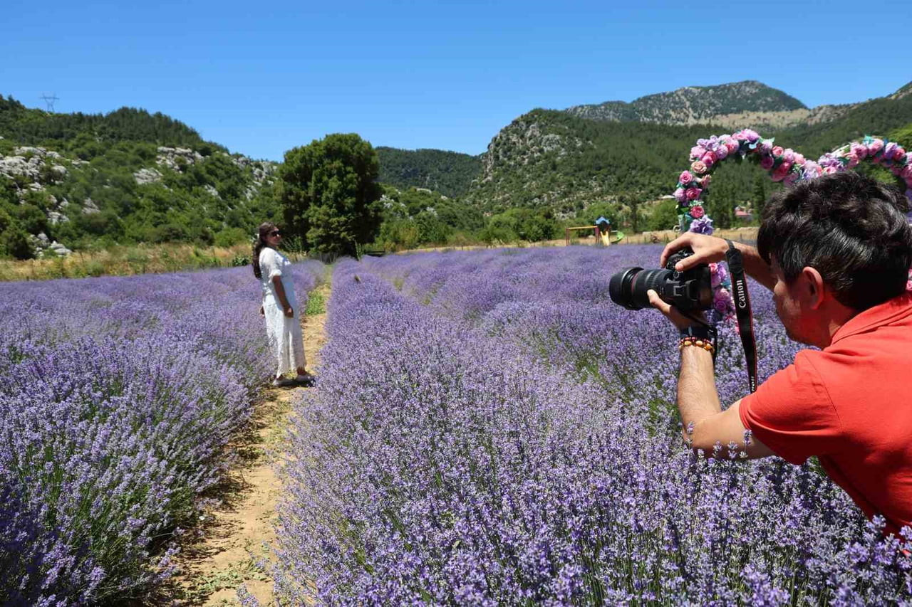 FOTOĞRAF TUTKUNLARI BAHÇELERDE FOTOĞRAF ÇEKMEK İÇİN MESAİ YAPTI