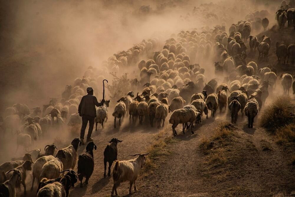FOTONO21 FOTOĞRAF DERNEĞİ TARAFINDAN DÜZENLENEN VE TÜRKİYE’DE PORTFOLYO TEMELLİ YAPISIYLA DEVAM...