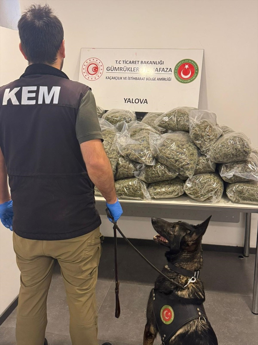 Fransa'dan Yalova Ro-Ro Limanı'na gemiyle gelen tırda yapılan kontrolde 37 kilo 742 gram esrar ele...