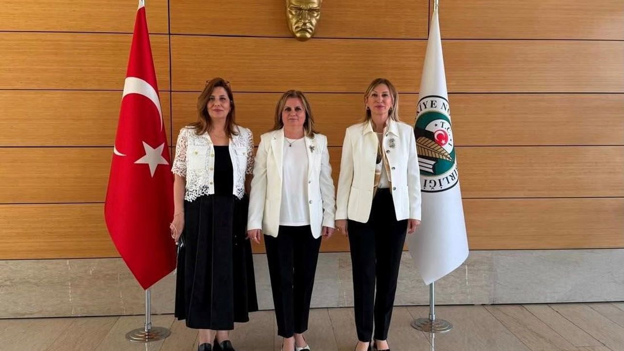 Fulya Uysal Güler, Türkiye noterler birliği başkanlığına başladı