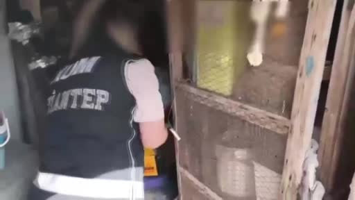 Gaziantep'te 6 adet ruhsatsız silah ele geçirildi: 1 gözaltı