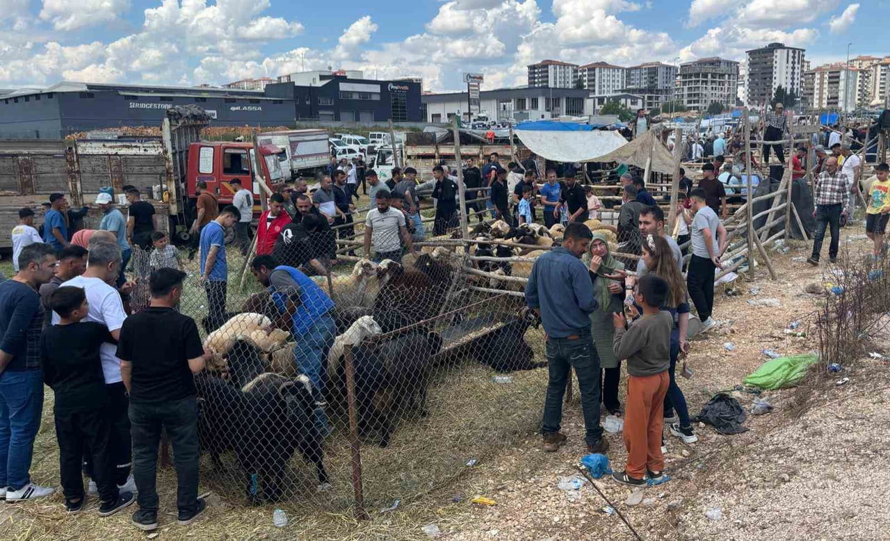 GAZİANTEP'TE KURBAN PAZARLARINDAKİ YOĞUNLUK AREFE GÜNÜ HAD SAFHAYA ÇIKTI. KURBAN SATMAK İSTEYEN...