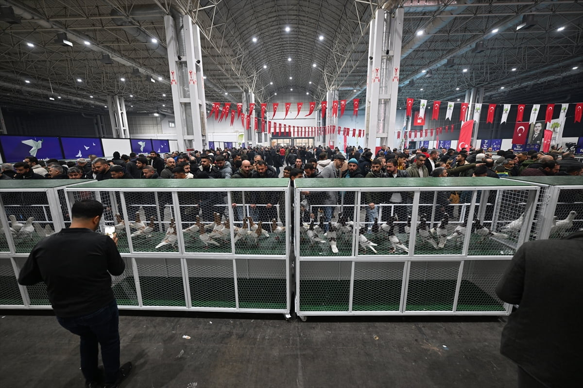 Gaziantep'te Şehitkamil Belediyesi ile Güvercin Sevenler Derneği tarafından "29. Türkiye Filo...