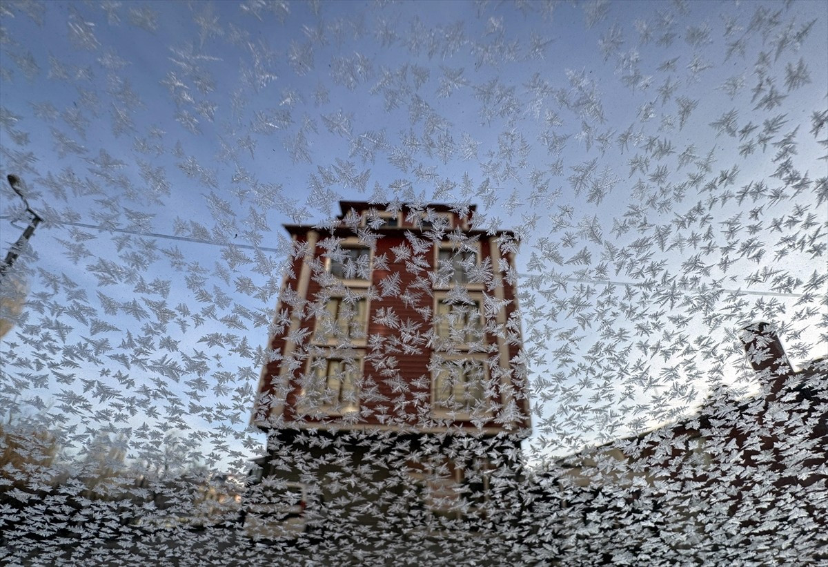 Gece hava sıcaklığının sıfırın altında 8 dereceye kadar düştüğü Ardahan'da, yoğun kırağı ve...