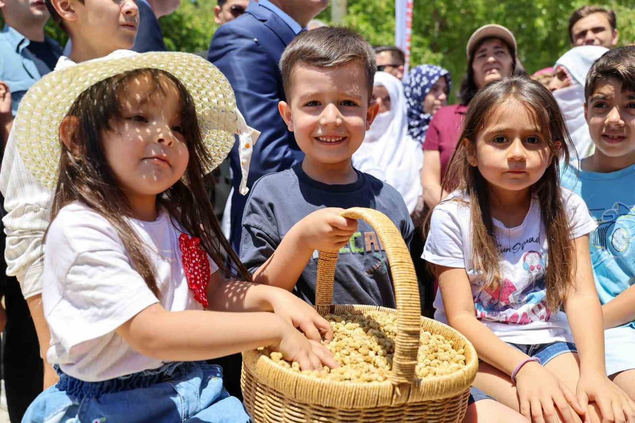 GEÇEN YIL ZİRAİ DON NEDENİYLE ÜRETİMİN YÜZDE 10'LARA KADAR DÜŞTÜĞÜ ULUKALE DUTU'NDA BU SEZON...
