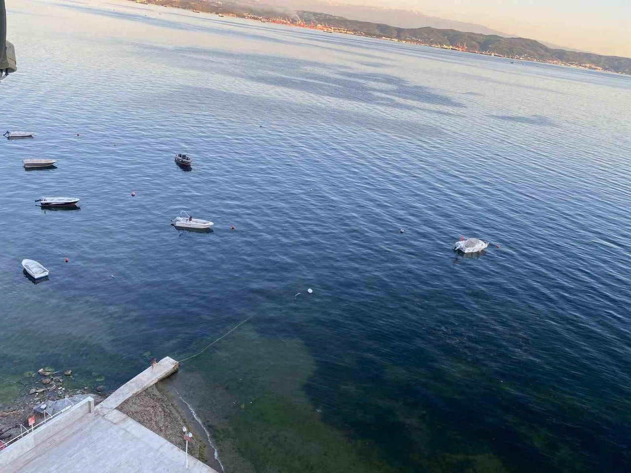 GEÇTİĞİMİZ DÖNEMLERDE MÜSİLAJ NEDENİYLE GÜNDEME GELEN GEMLİK KÖRFEZİ'NDE BU KEZ YÜZLERİ GÜLDÜREN...