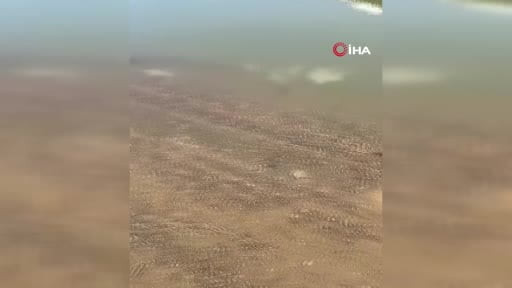 Genç kadını 8 yerinden bıçaklayıp baraja attılar