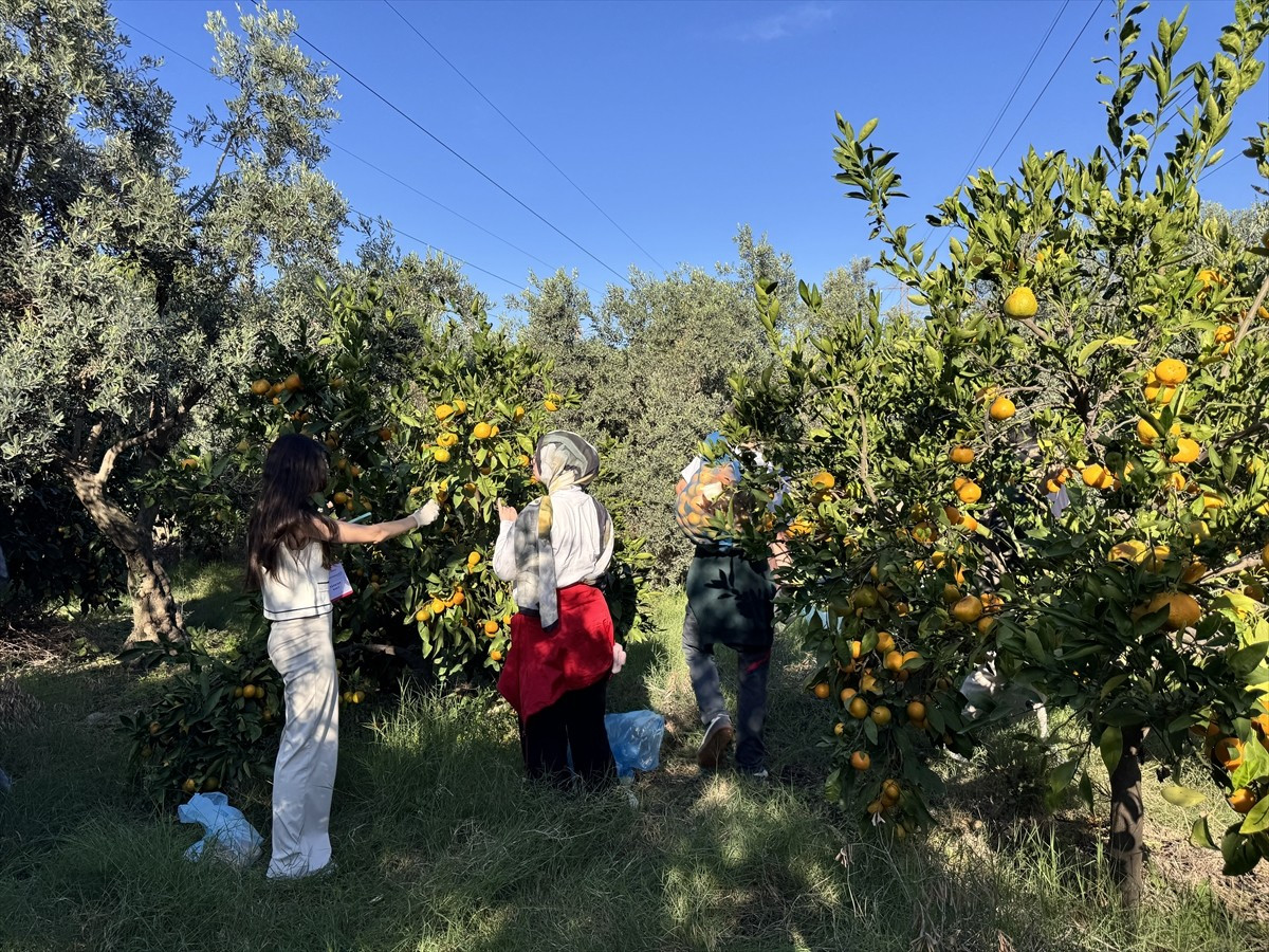 Gençlik ve Spor Bakanlığınca yürütülen "Anadoluyuz Biz" projesi kapsamında Hatay'ı ziyaret eden...