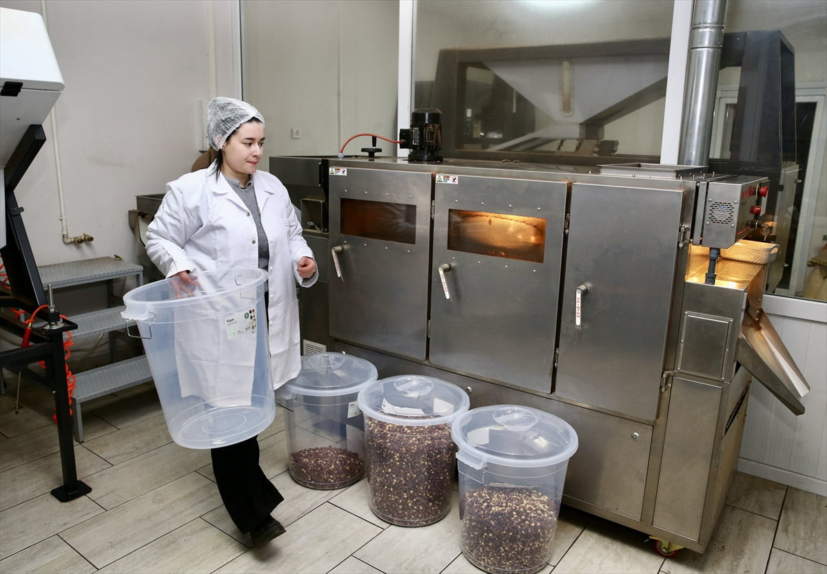 Giresun'da devlet desteğiyle fındık işleme tesisi kuran 23 yaşındaki Esma Simay Gemici, fındığa...