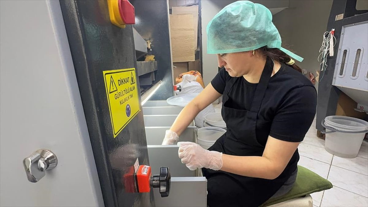 Giresunlu kadın girişimci Emel Çakır, KOSGEB'in Genç Girişimci Destek Programı sayesinde kurduğu...