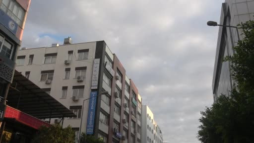 Göç yolunda yorgun düşen Ebabil kuşlarına polisten yürek ısıtan şefkat