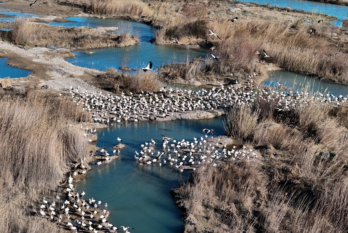 Göçmen kuşların Doğu Akdeniz'deki mola noktalarından Mersin'deki sulak alanlar, havaların...