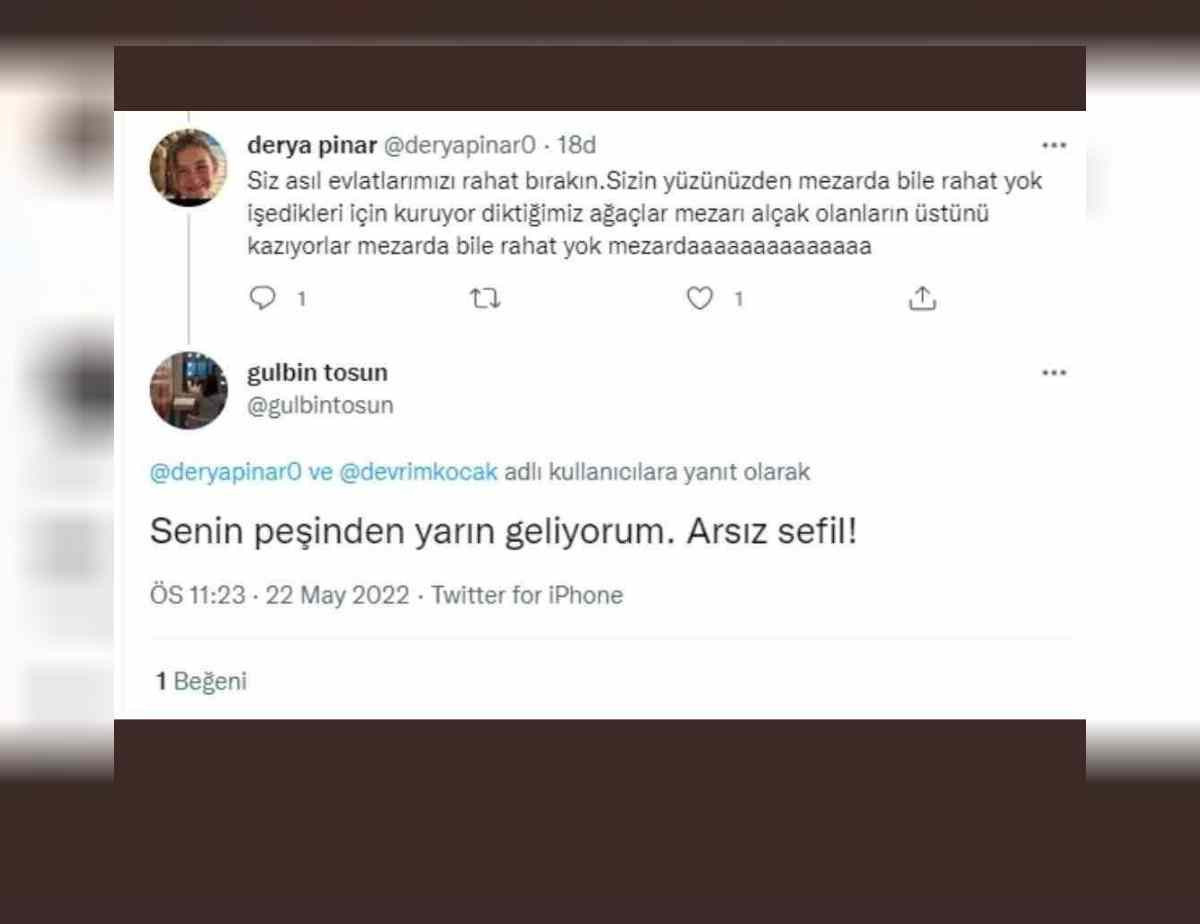 Gülbin Tosun neden gündem oldu?
