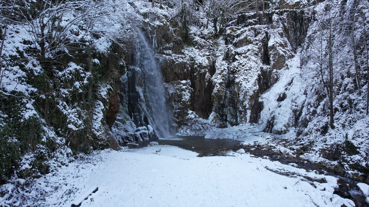 Gümüşhane'de Örümcek Ormanları'nın içinden doğup 15 metreden dökülen Çağlayandibi Şelalesi, karın...
