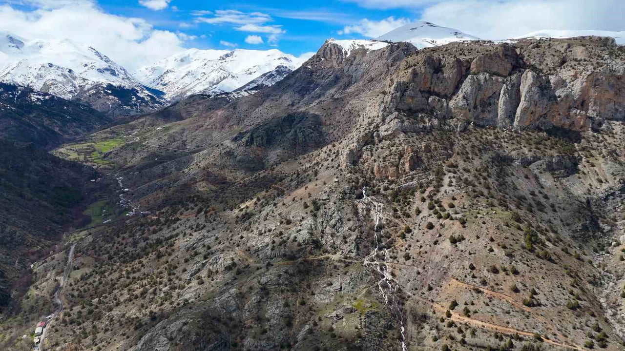 GÜMÜŞHANE’NİN TORUL İLÇESİNE BAĞLI GÜLAÇAR KÖYÜNDE, HER YIL NİSAN AYINDA EŞİNE AZ RASTLANIR BİR...