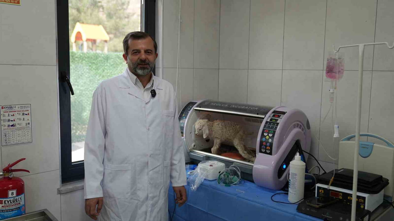 GÜRSU BELEDİYESİ’NİN, 80 DÖNÜMLÜK MESİRE ALANI İÇİNDE YAPIMINI BİTİRDİĞİ BUTİK HAYVANAT BAHÇESİ...