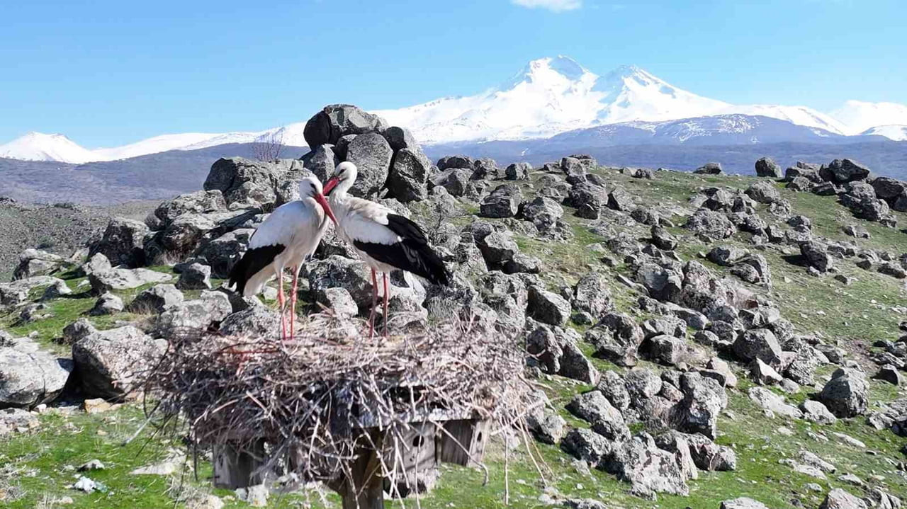 HACILAR BELEDİYE BAŞKANI BİLAL ÖZDOĞAN; BAHARIN GELİŞİYLE BİRLİKTE HÜRMETÇİ SAZLIĞI’NIN YENİDEN...