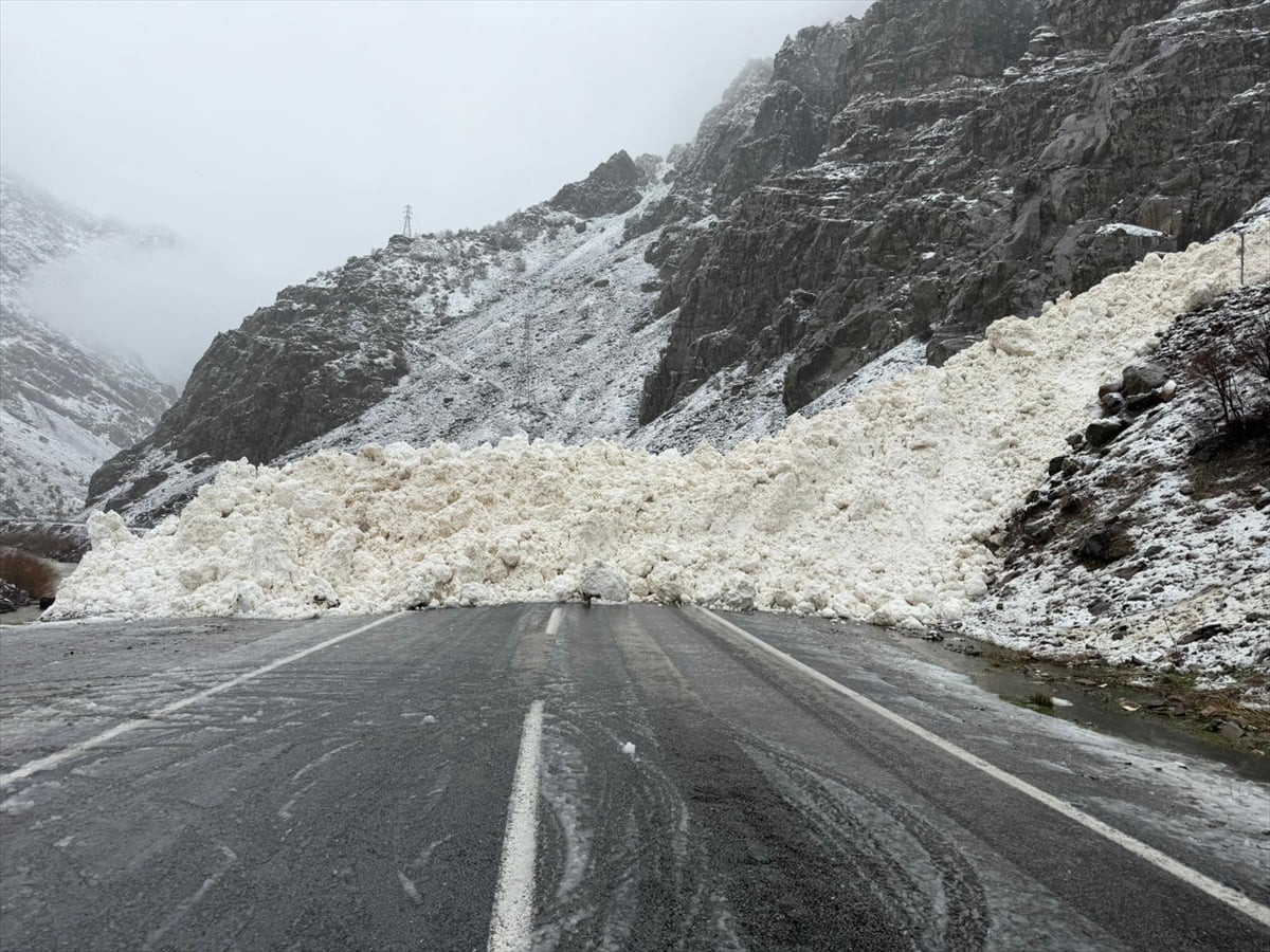 Hakkari-Çukurca kara yolu, çığ düşmesi nedeniyle ulaşıma kapandı. 