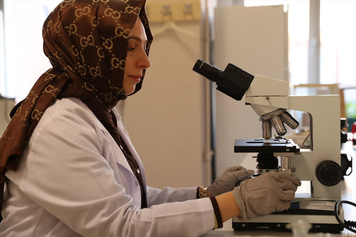 Hakkari ve Erzincan'da yürütülen bilimsel çalışmayla, tarımsal ürünlerin hasat sonrası depolama...