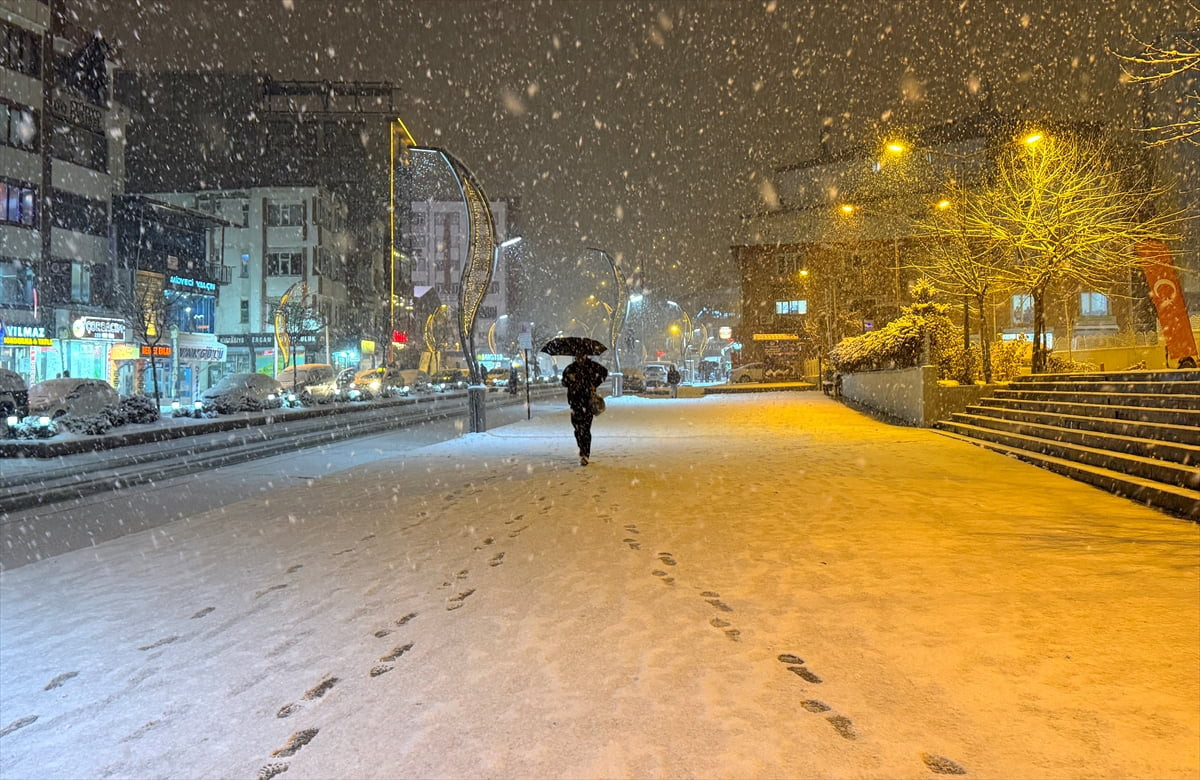 Hakkari'de etkisini sürdüren kar, yaşamı olumsuz etkiledi. 