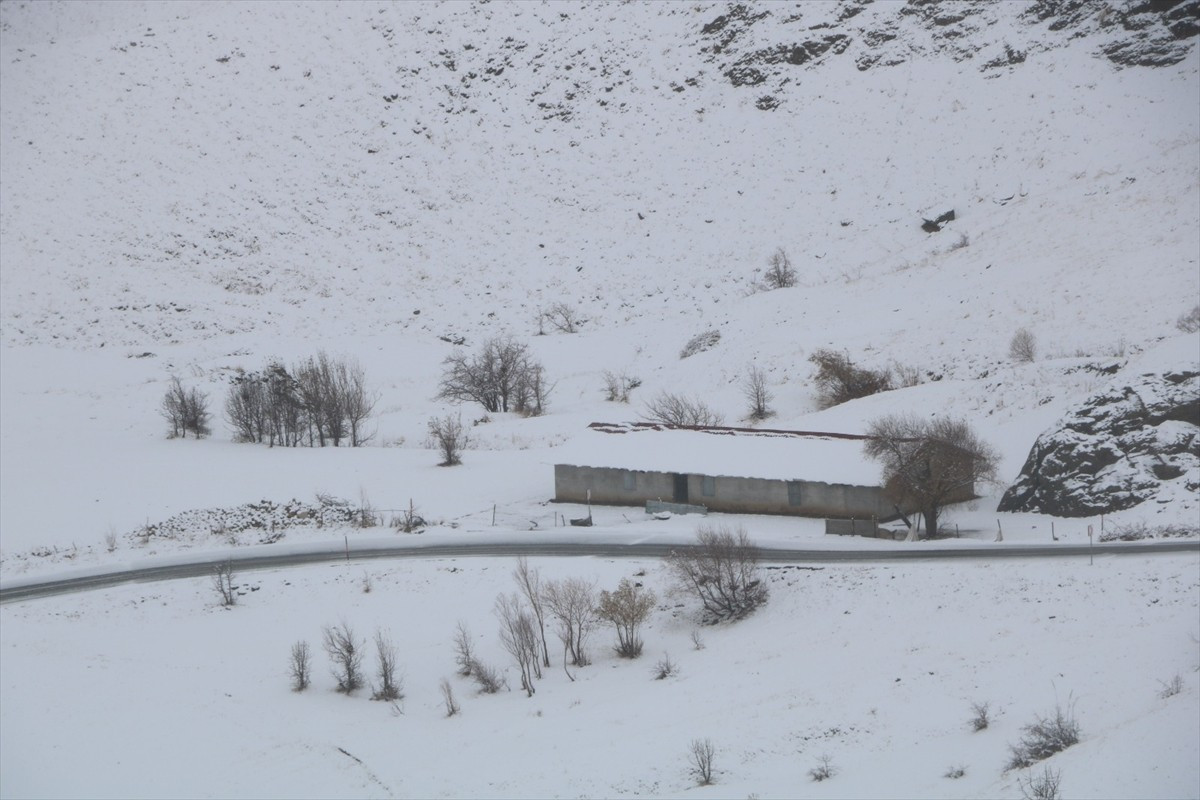 Hakkari'de gece başlayan ve aralıklarla etkisini sürdüren kar nedeniyle kent merkezi beyaza...