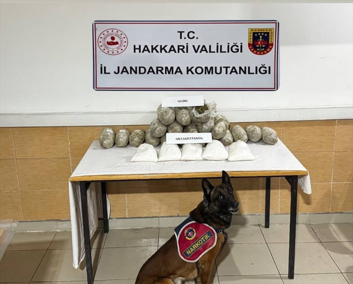 Hakkari'de jandarma ekiplerince yapılan çalışmada 17 kilogram skunk ve 5 kilo 170 gram sentetik...