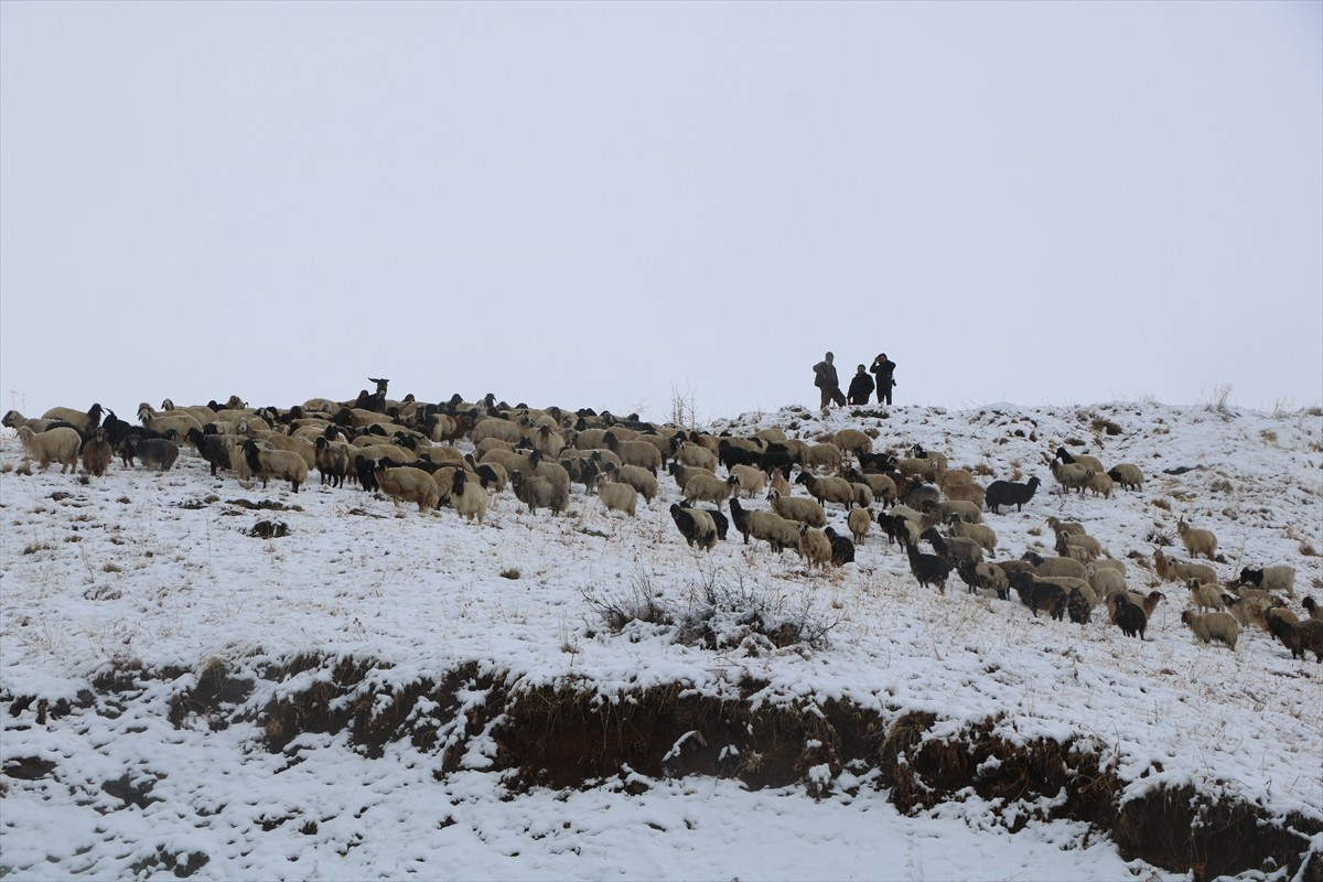 Hakkari'nin yüksek kesimlerinde kar yağışı etkili oldu. Kar yağışıyla Durankaya beldesi ve yüksek...
