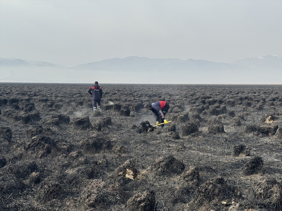 Hakkari'nin Yüksekova ilçesinde binlerce kuşun yaşam alanı Nehil Sazlığı'nda 7 Kasım'da çıkan...