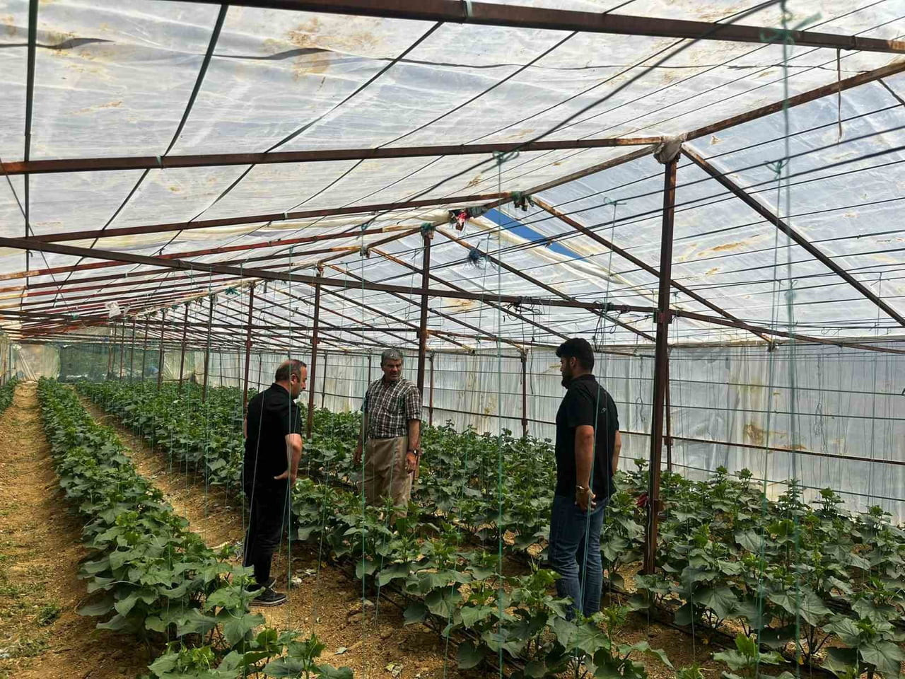 HAKKARİ'NİN YÜKSEKOVA İLÇESİNDE TARIM VE ORMAN MÜDÜRLÜĞÜ EKİPLERİ, TARIM VE HAYVANCILIK...