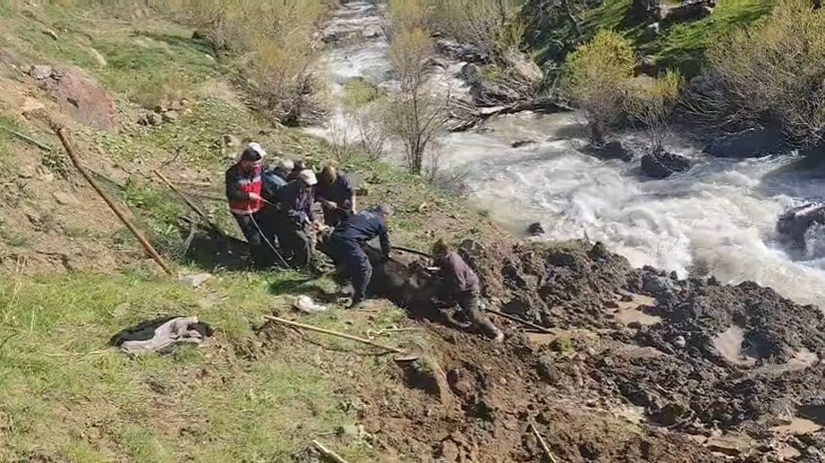 HAKKARİ’NİN OTLUCA KÖYÜNDE DERE YATAĞINDAKİ BATAKLIĞA SAPLANAN İNEK, İTFAİYE EKİPLERİ VE...