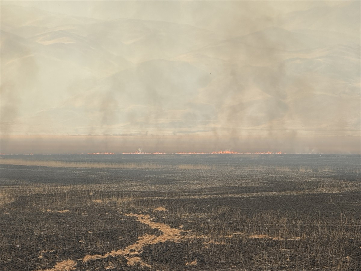 Hakkari’nin Yüksekova ilçesindeki Nehil Sazlığı'nda çıkan yangına ekiplerin müdahalesi...