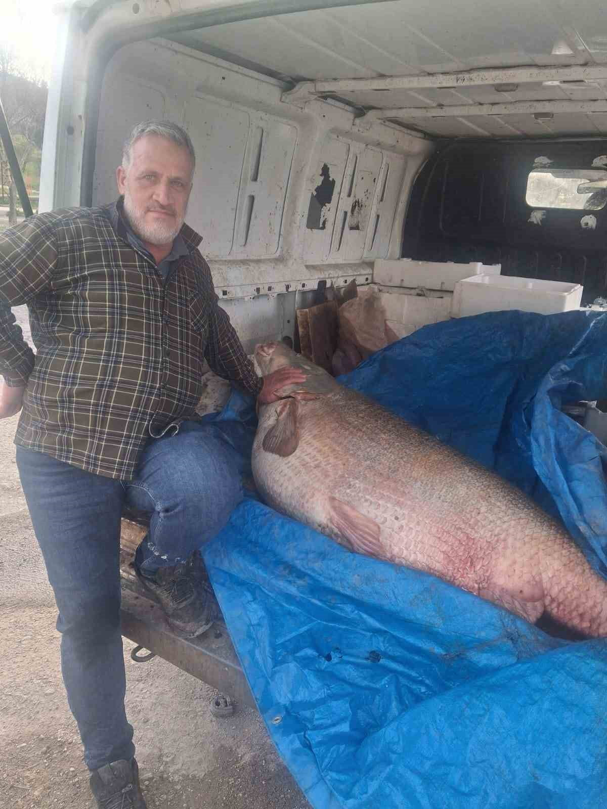 HALİL TAŞKIN İSİMLİ BALIKÇI TARAFINDAN FIRAT NEHRİNDE YAKALAN 130 KİLOLUK BALIK