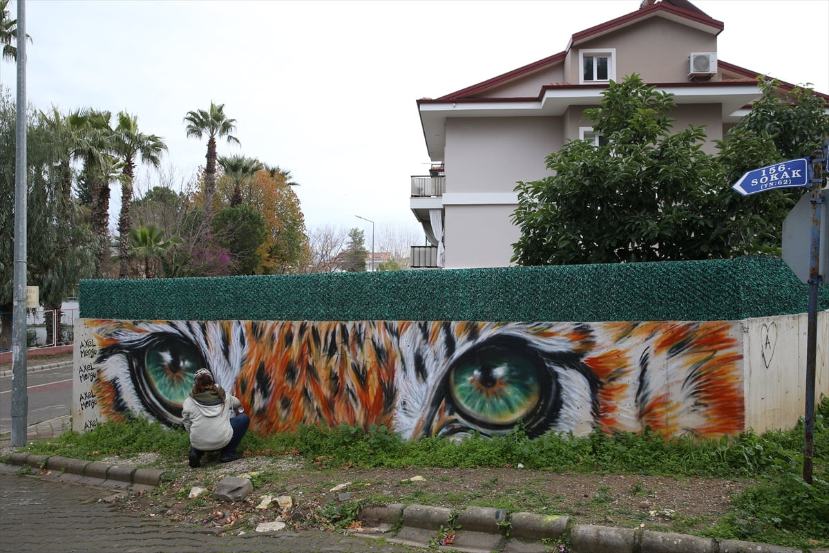 Halk dilinde "grafiti" olarak bilinen duvar resimleri yapan mural sanatçısı Axel Mengü, Muğla'nın...